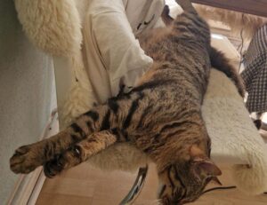 cilxarhu677 moisturizer