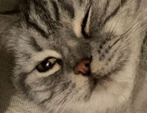 codes error rcsdassk