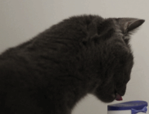 download software ustudiobytes