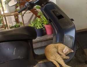 highlights of nummazaki