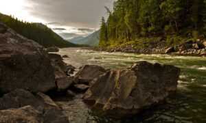 sffarebaseball results today from sportsfanfare