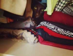 software dowsstrike2045 python