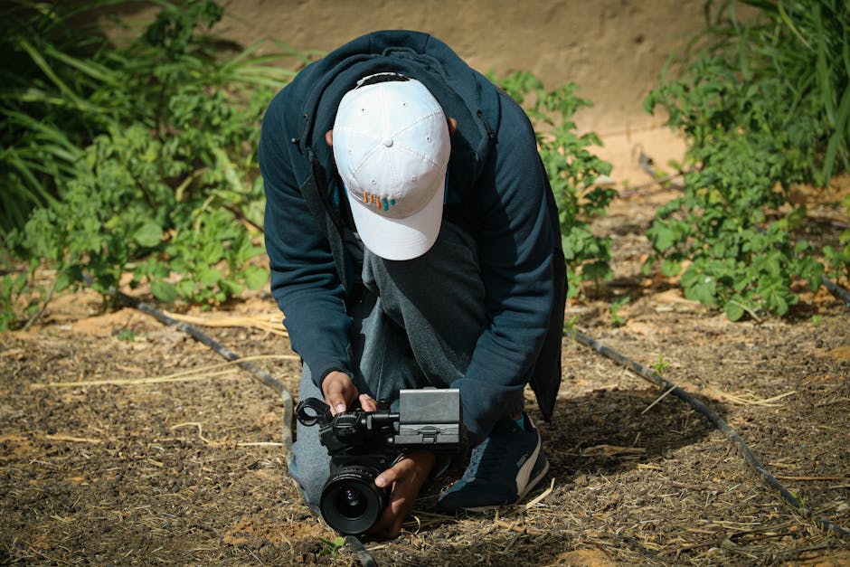 video replay in baseball