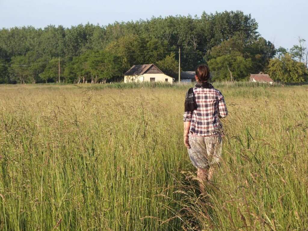 sffarebaseball statistics yesterday