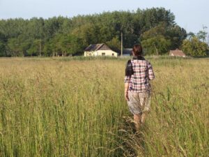 sffarebaseball statistics yesterday