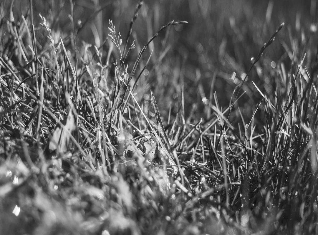 Analyzing the Stars: A Head-to-Head Statistical Breakdown