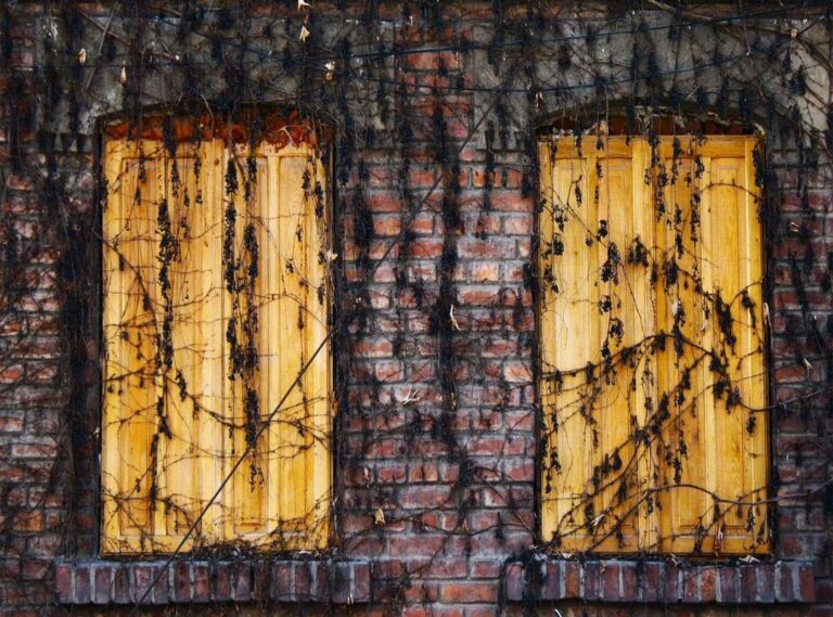 chicken chop station (wisma central) menu