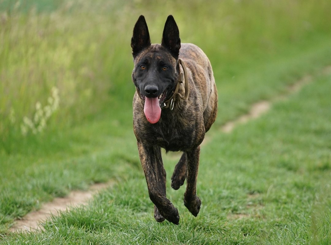 A Quick Guide to Other Essential Snapchat Acronyms