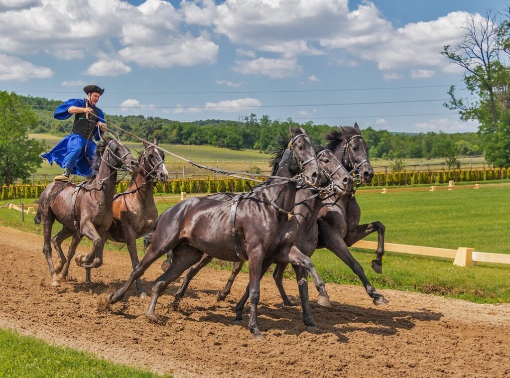 Horse Racing Jexpsports