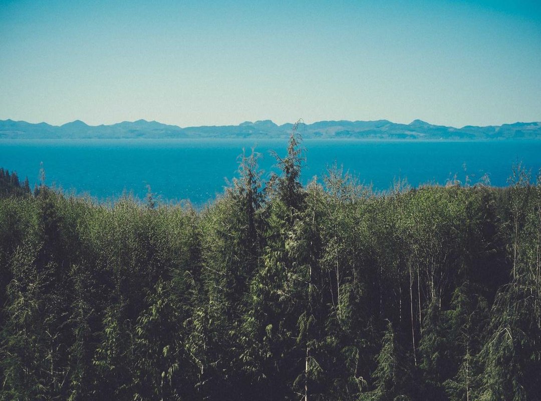 From Campsite to City: The Typhoon Evacuation