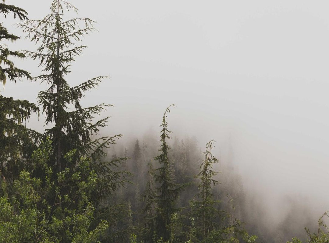 Beyond the Headlines: Her Musical Style and Impact