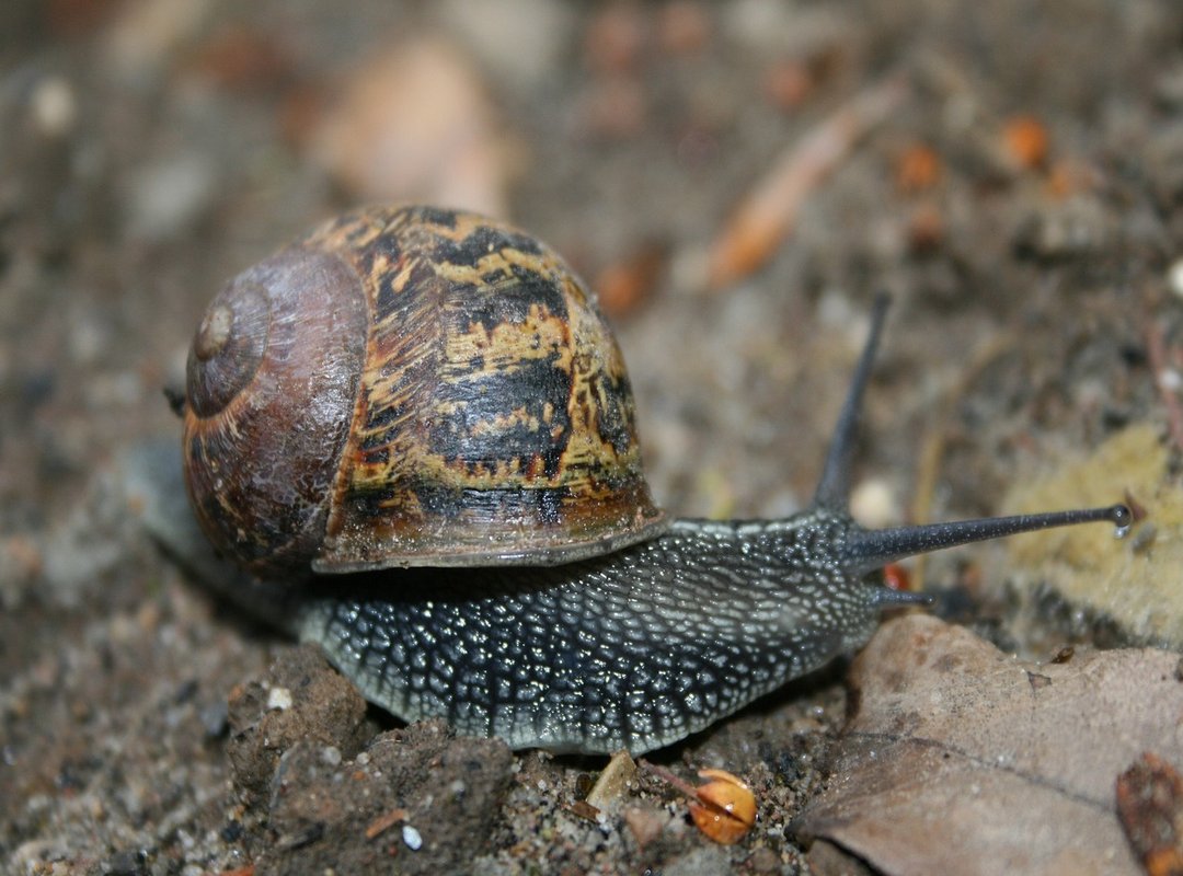 How to Get Started with Nodzawy in Under 10 Minutes