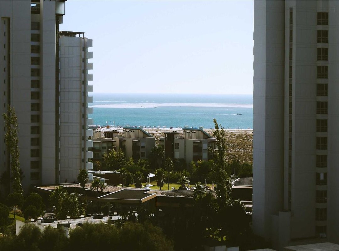 Why We Can't Stop Reading: The Psychology Behind the Popularity